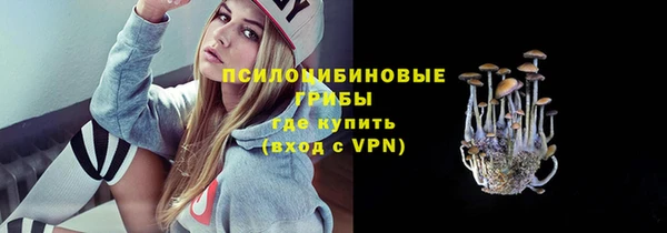 трава Бронницы