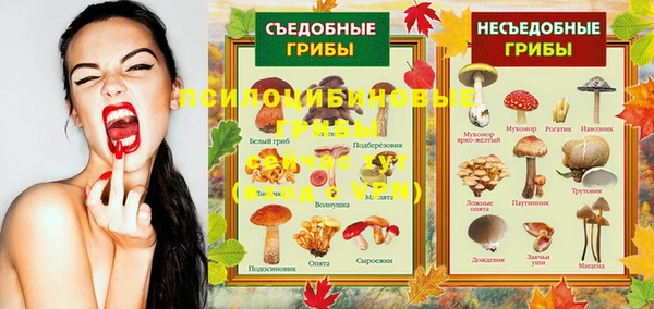 дмт Бугульма