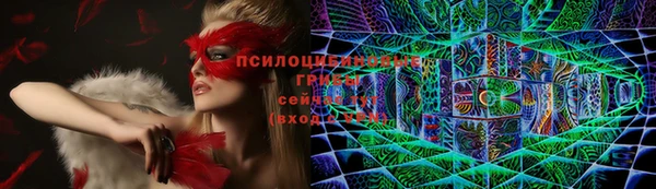трава Бронницы